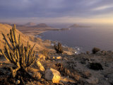 Desert Coast and Pacific Ocean, Atacama Desert, Pan de Azucar National Park,Chile