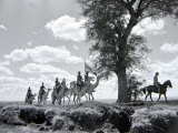 Somaliland Camel Corps in Formation