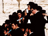 Buy Orthodox Jews at Western (Wailing) Wall, Jerusalem, Israel at AllPosters.com