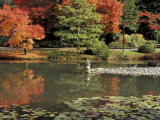 Reflecting Pool in Japanese Garden, Seattle, Washington, USA