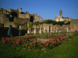 The Garden of the Vestal Virgins in the Roman Forum