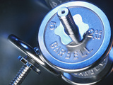 Buy Steel Dumbbells at AllPosters.com