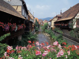 Buy Colmar, Route du Vin, Alsace, France at AllPosters.com