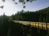 A Cyclist on the Mickelson Trail Bridge which Runs Through the Heart of the Black Hills