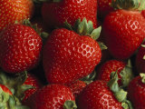 Fresh Strawberries