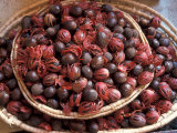 Buy Nutmeg in Public Market, Castries, Caribbean at AllPosters.com