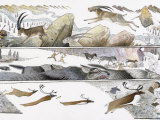 Buy Early Hunting Techniques Included Awaiting the Descent of Ibex from the Mountaintops in Fall at AllPosters.com
