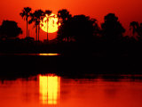 Tropical Sunset, Botswana