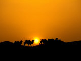 Buy Camel Caravan Silhouette at Dawn, Silk Road, China at AllPosters.com