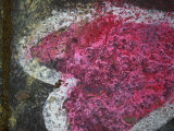 Buy Painted Heart Adorns a Paris Sidewalk at AllPosters.com
