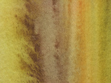 Close-up of Brown and Yellow and Green Streaks of Paint Canvas