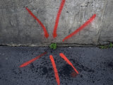 Buy Neon Paint Points to a Plant Emerging from a Crack in the Sidewalk at AllPosters.com