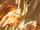 Close-up of Bright Colorful Paint Smears