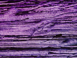 Buy Textured Background at AllPosters.com