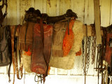Riding Tack at the Fazenda Barranco Alto