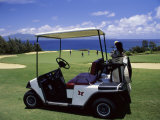 Kapalua Plantation Course, USA