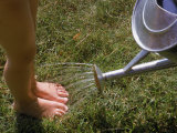 Buy Watering Can Sprinkling Water on Child's Feet at AllPosters.com