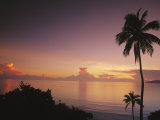 Buy Palm Trees Silhouetted against Sky and Ocean at Sunrise at AllPosters.com