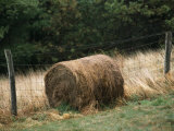 Buy Barbed Wire Fence and Hay Roll in Farmers Field, Tye River Gap at AllPosters.com