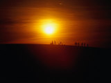 Buy Sunset on Shifting Sand Dunes, Slowinski National Park, Pomorskie, Poland at AllPosters.com