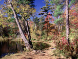 Buy Fall Foliage, Wildlife Sanctuary, Pittsfield, MA at AllPosters.com