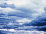 Buy Airplane in Cloudy Blue Sky at AllPosters.com
