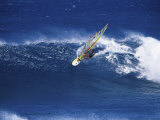 Buy Windsurfer Surfing at AllPosters.com