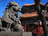 Lion Statue at Lama Temple Bejing, China