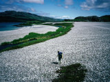 Buy A Lone Hiker on a Raised Beach on the Isle of Jura in the Hebrides - Highland, Scotland at AllPosters.com