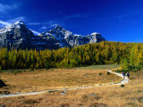 Buy Hikers in Larch Valley, Banff, Canada at AllPosters.com