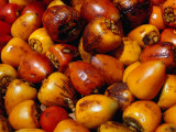 Chontaduro, Fruit of a Palm, Cooked and Eaten with Salt and Lemon Juice, Bogota, Colombia