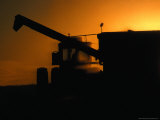Harvesting Grain at Sunset, Canada