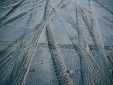 4Wd Tracks on Sand, Fraser Island, Queensland, Australia