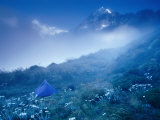 Tent Amongst Mountain Daisies, Mt. Cook National Park, Canterbury, New Zealand