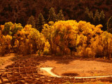 Buy Pueblo Ruins in Frijole Canyon, Bandelier National Monument, New Mexico, USA at AllPosters.com