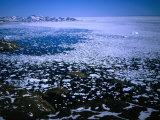 Buy Drift Ice in the East Greenland Current, from Qaqqartivakajik, Greenland at AllPosters.com
