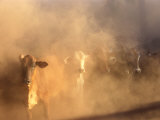 Buy Dusty Cattle Muster, Cape York Peninsula, Australia at AllPosters.com