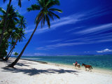 Coral Coast Beach, Fiji