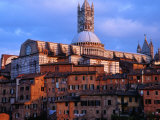 Buy View Across Rooftops to the Gothic Cathedral, Siena, Tuscany, Italy at AllPosters.com