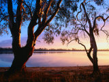 Buy Trees on Edge of Lake Mournpoul, Hattah-Kulkyne National Park, Australia at AllPosters.com