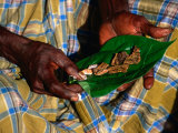 Indigenous Veddah or Wanniyala-Aetto Man Holding Betel Nuts, Colombo, Sri Lanka