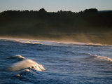 Buchupureo (Tall Wave) Beach, Buchupureo, Biobio, Chile