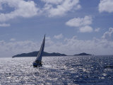 Buy Sailboats, Coral Bay, St. John, Caribbean Sea at AllPosters.com