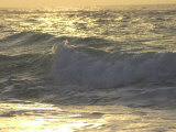 Ocean Wave, Playa Del Carmen, Mexico
