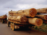 Logging Trucks on Road, Bolaven Plateau, Laos
