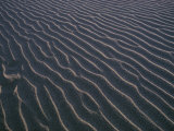 Alternating Sunlight and Shadows Enhance Contoured Patterns in a Sand Dune