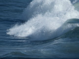 Surf