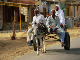Buy Men on Donkey Cart in Siwa, Egypt at AllPosters.com