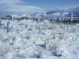 A Dramatic Winter Scene of a Snow-Covered Graveyard