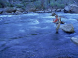 Buy Mature Man Fly-Fishing, West Walker River, CA at AllPosters.com